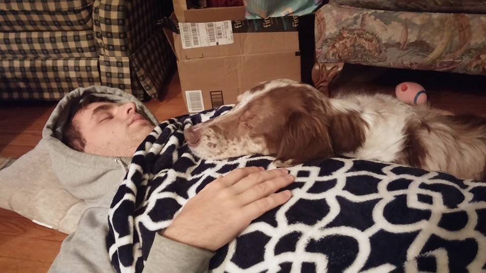 The Power of the Human-Dog Connection (image credits: wikimedia)