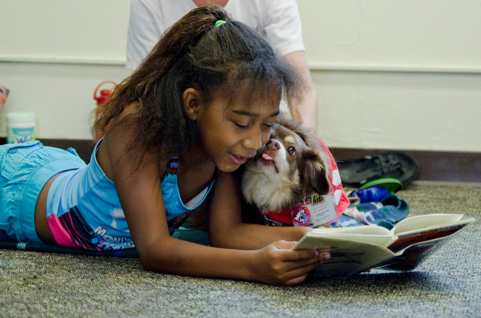 8 Dog Breeds Known for Their Intense Devotion and Emotional Connection with Owners