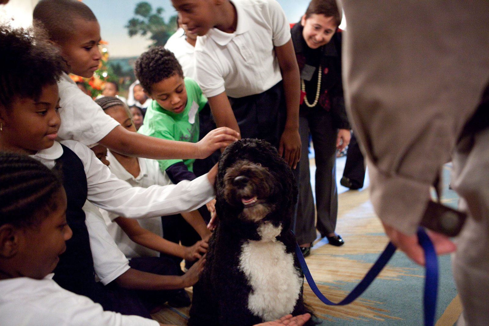 Instant Welcoming Committee (image credits: wikimedia)