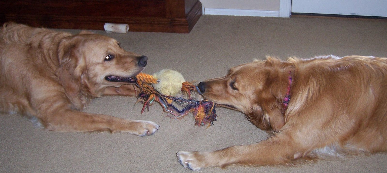Homemade Tug Toys (image credits: wikimedia)