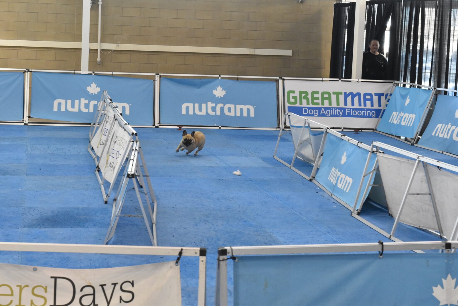 Obstacle Courses (image credits: wikimedia)