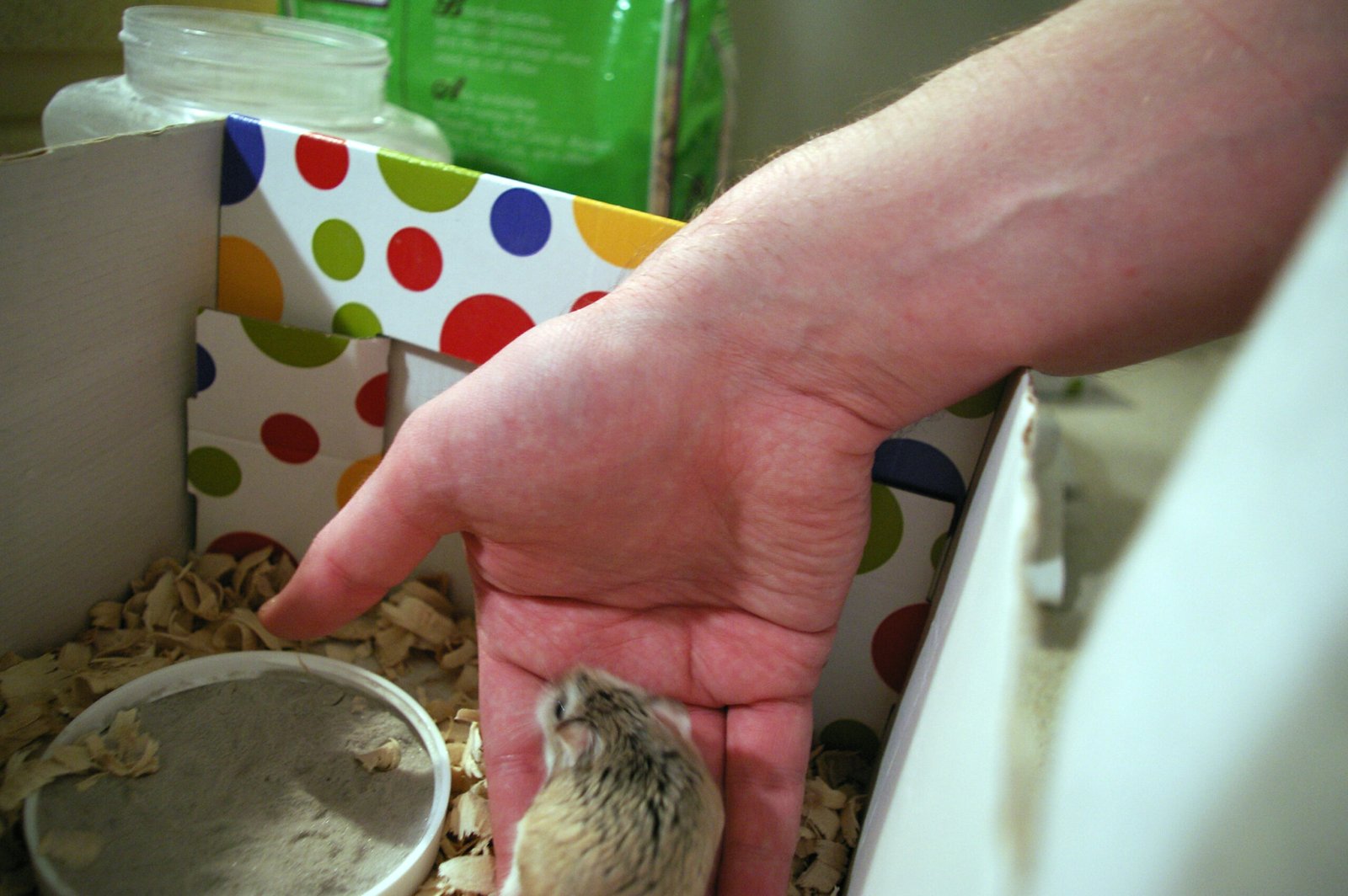Accepting Being Handled (image credits: wikimedia)