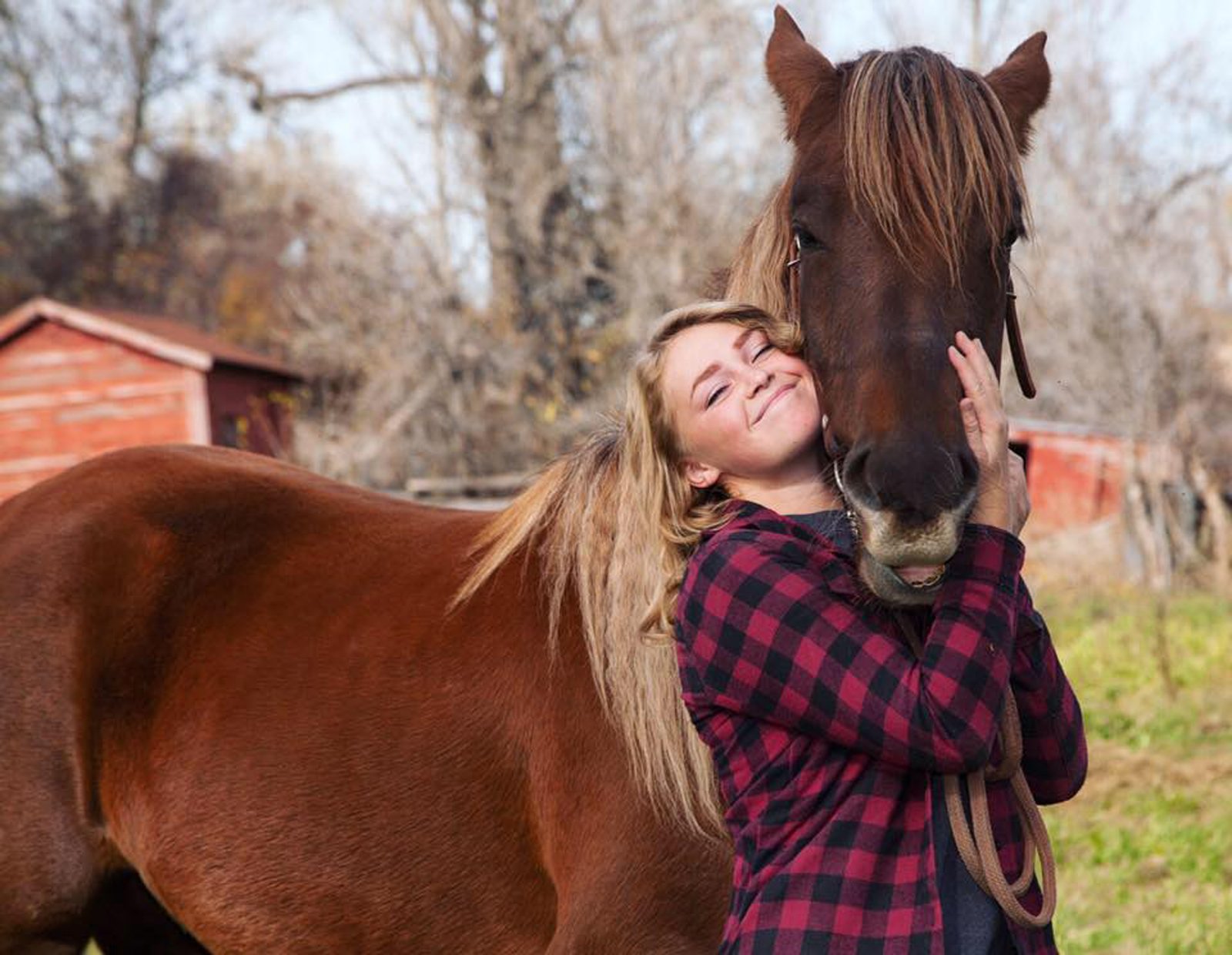 The History of the Human-Horse Bond (image credits: wikimedia)