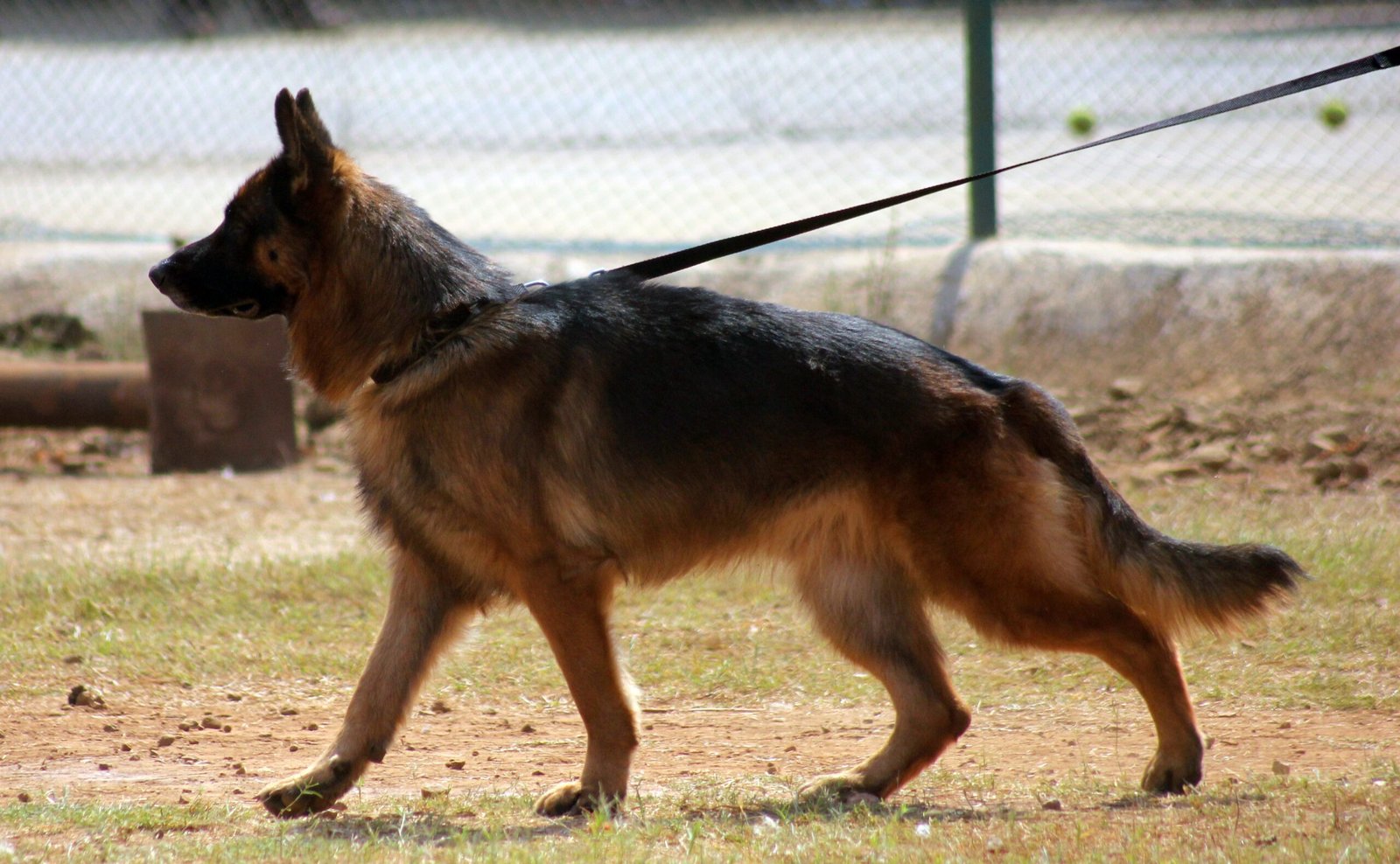 Prioritize Gentle Exercise (image credits: wikimedia)