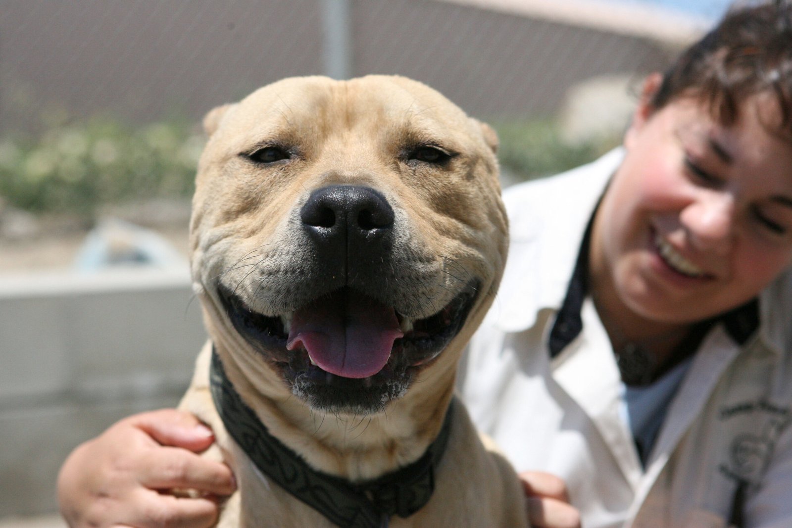 3. Smiling and Happy Facial Expressions (image credits: wikimedia)