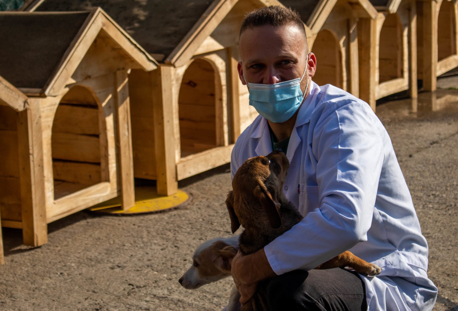 Prioritize Regular Vet Visits (image credits: wikimedia)