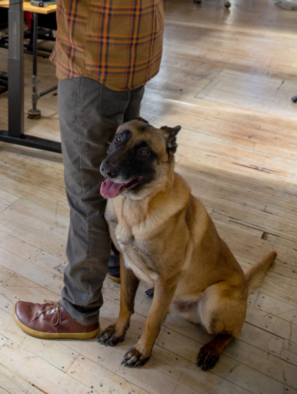 They Lean on You—Literally (image credits: stocksnap)