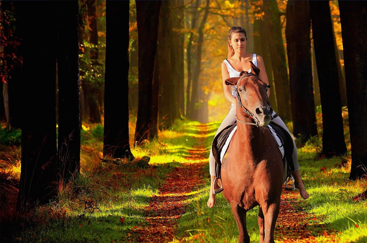 Therapeutic Partners: Horses in Healing and Growth (image credits: pixabay)