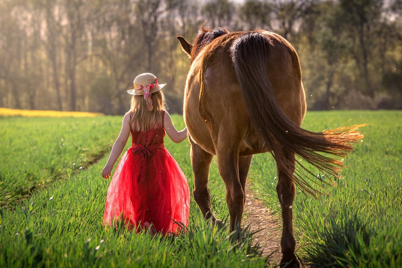 Trust and Vulnerability: Letting Go of Control (image credits: pixabay)