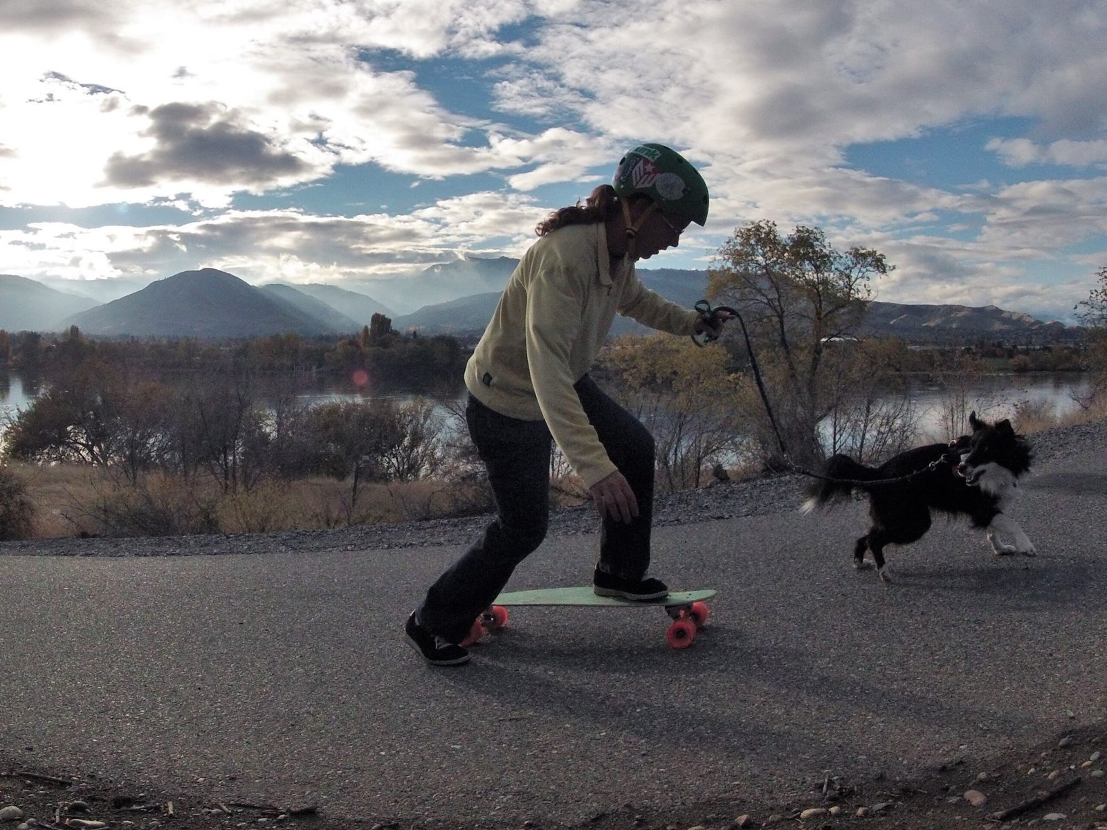 11 Affectionate Dog Breeds That Thrive on Human Interaction and Companionship