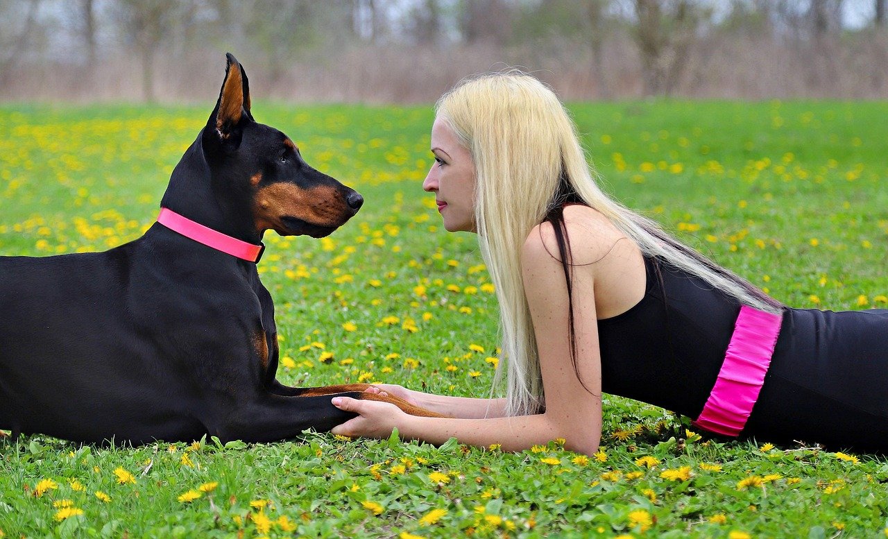 The 12 Most Loyal Breeds for Family Bonding