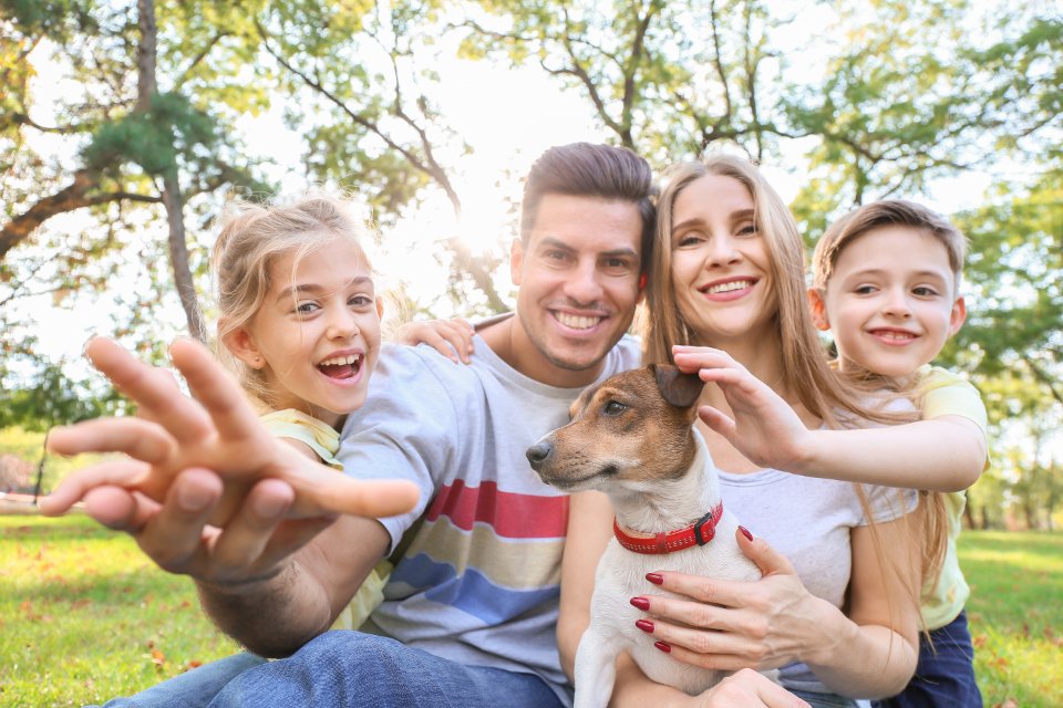 Creating Lasting Memories and Joy (image credits: stocksnap)
