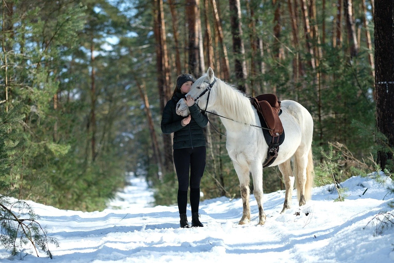 Soul in the Saddle: How Horses Mirror Our Emotions and Help Us Heal