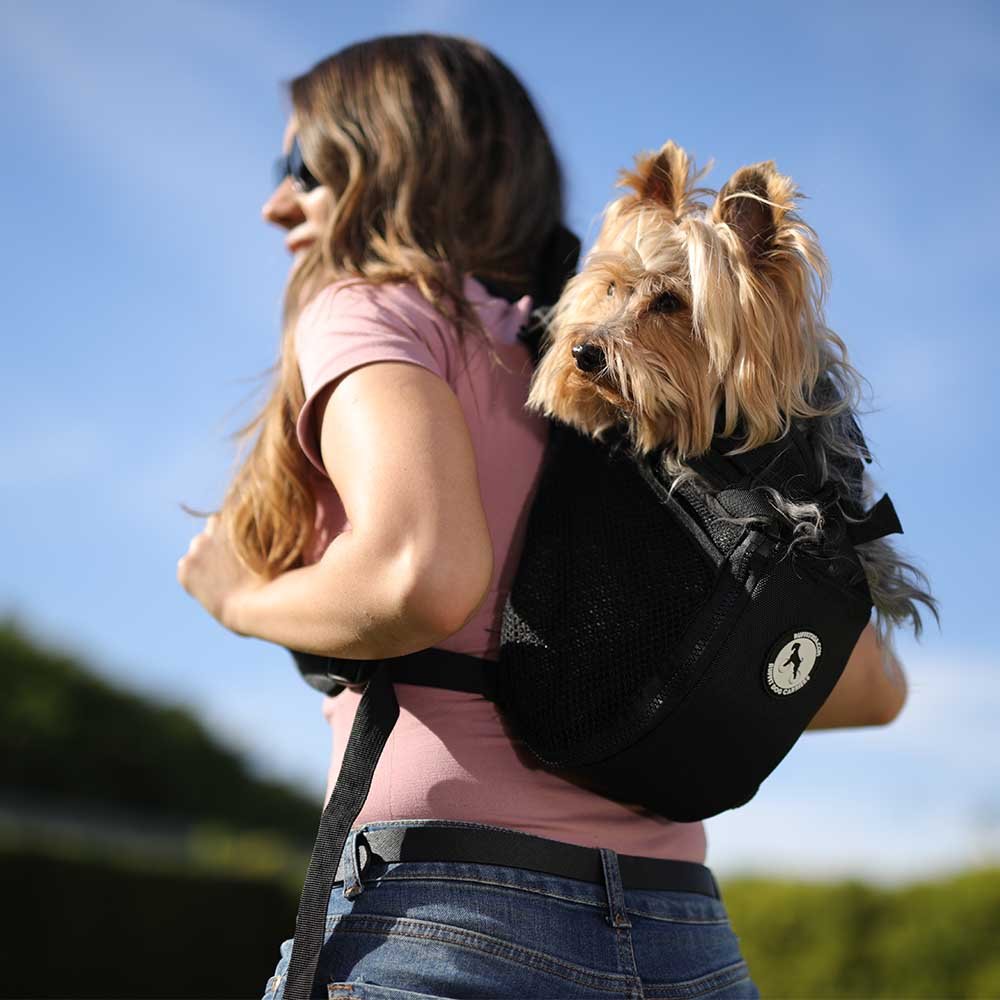 Portable Dog Crate or Carrier (image credits: wikimedia)