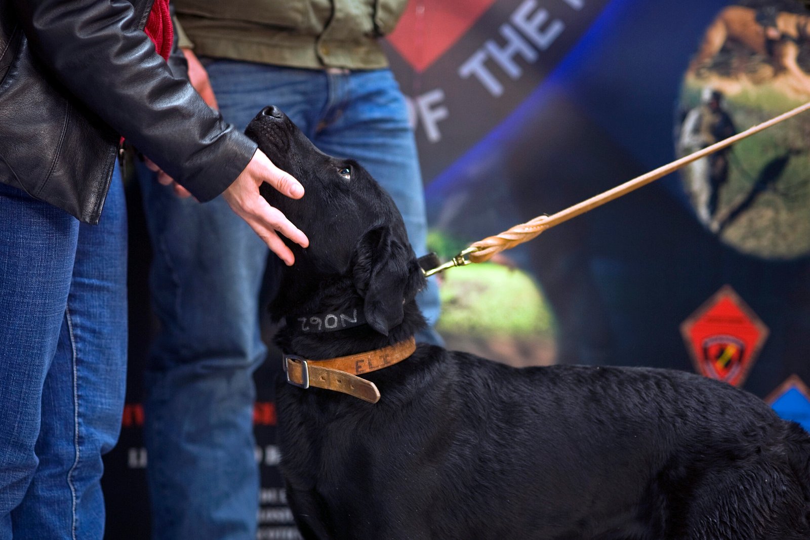 K9 Luna: The Explosives Expert (image credits: wikimedia)