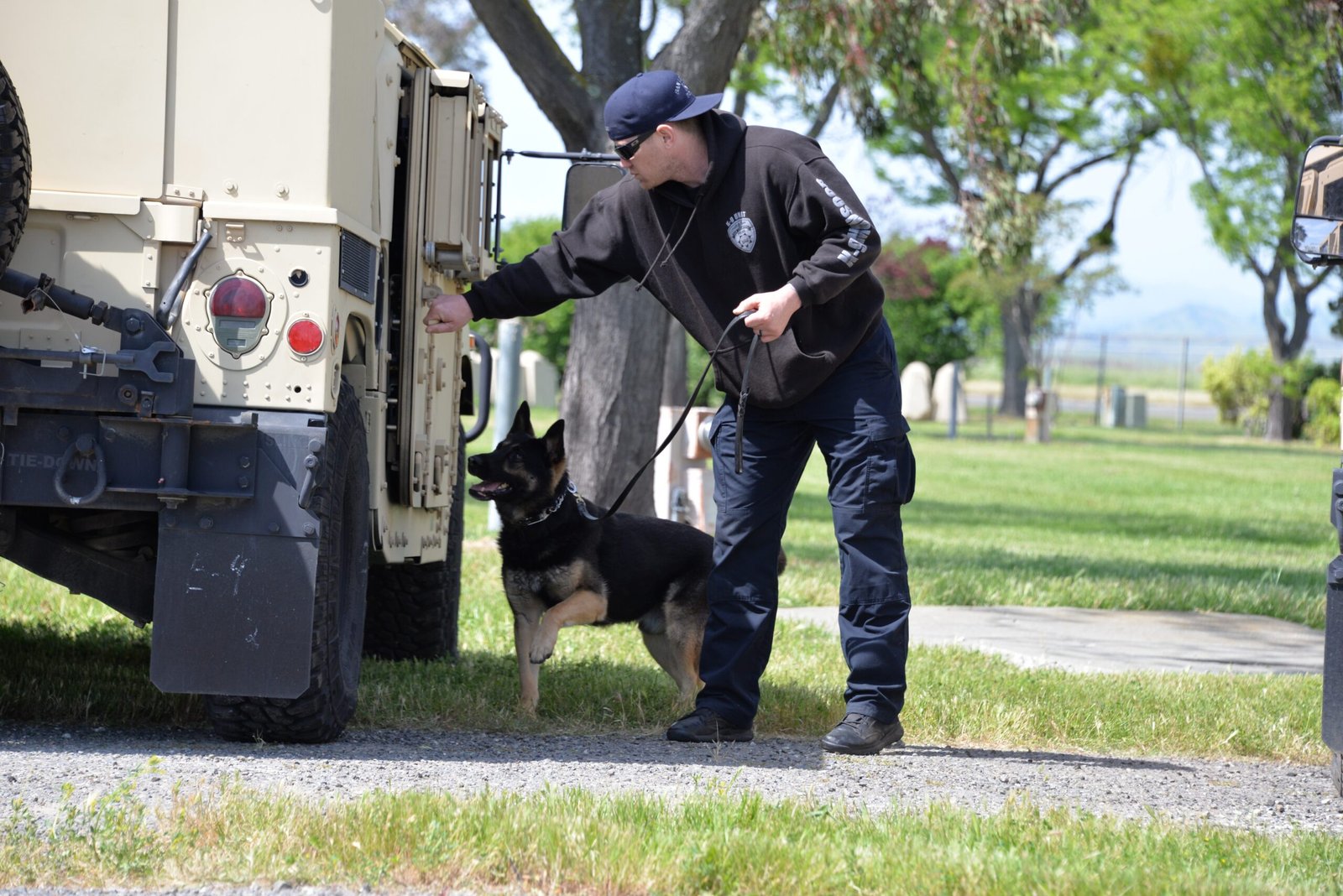 K9 Juno: The Bomb Squad's Best Friend (image credits: wikimedia)