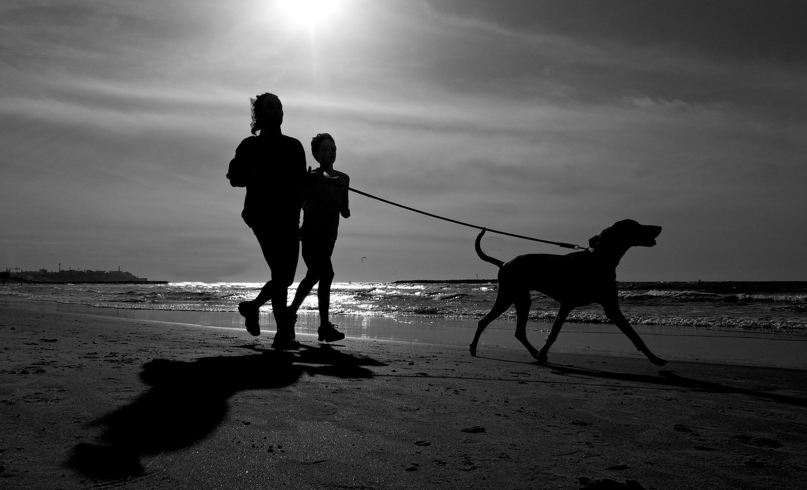 Making Walks Fun and Rewarding (image credits: wikimedia)
