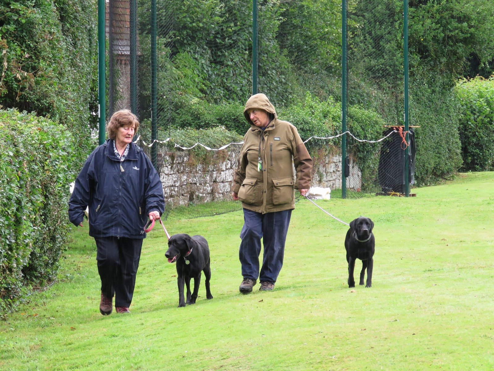 Adapting Walks to Fit Every Dog (image credits: wikimedia)