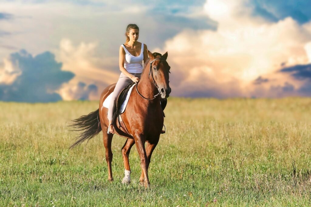 Finding Peace in the Paddock: Why Horses Are Natural Mindfulness Mentors