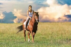 Finding Peace in the Paddock: Why Horses Are Natural Mindfulness Mentors