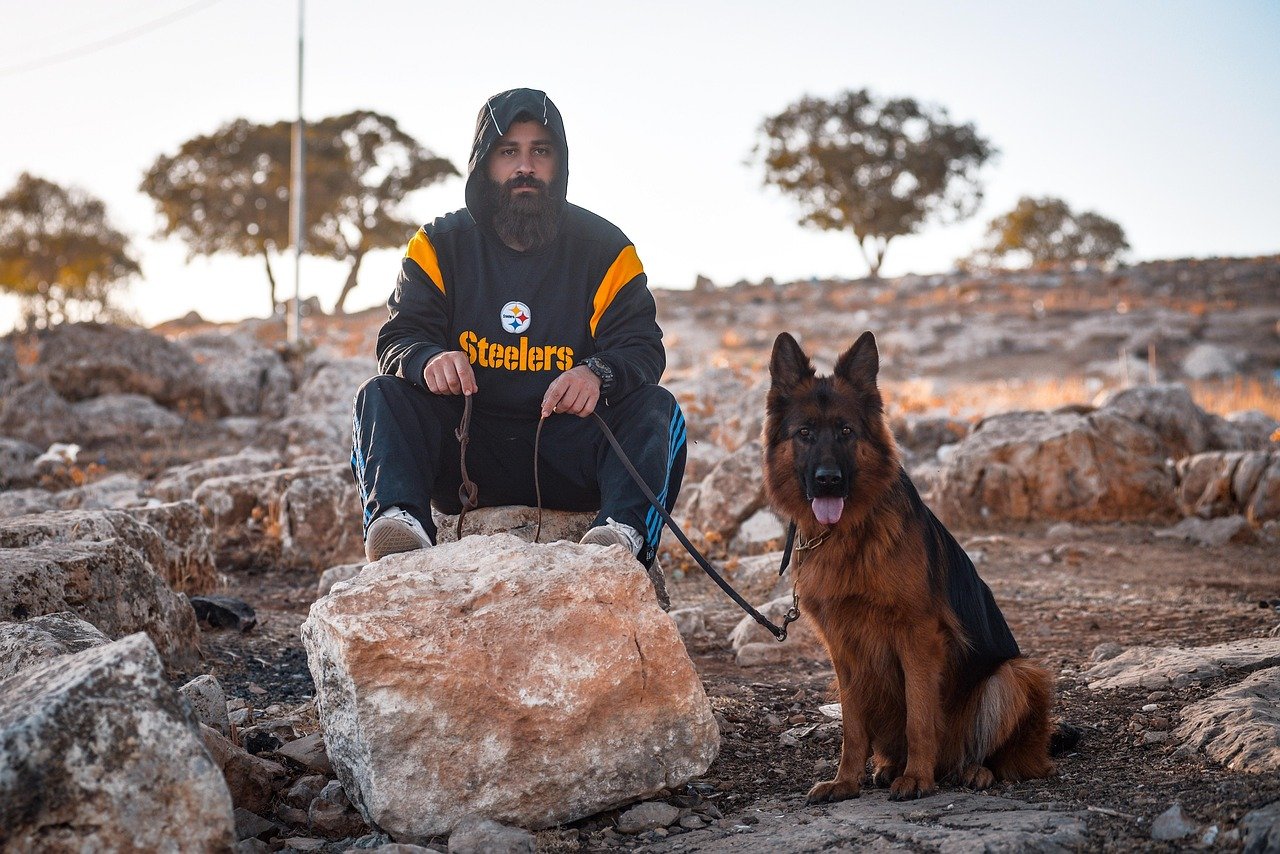 Are You a Good Match for a German Shepherd? Let’s Find Out.