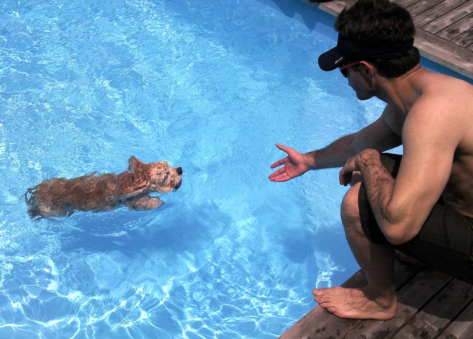 Engaging in Play and Bonding Activities (image credits: wikimedia)
