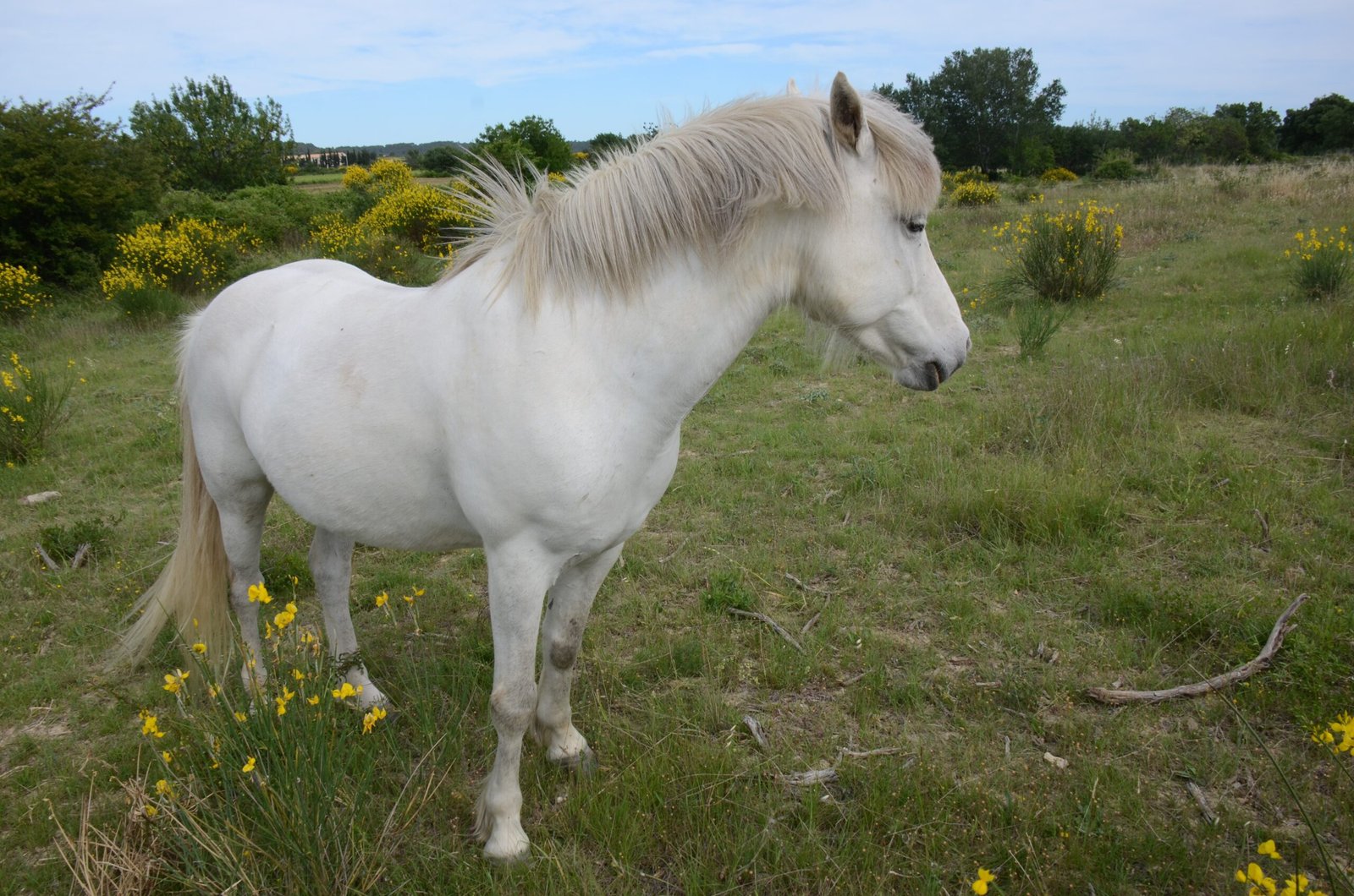 Environmental Factors: Light, Space, and Sights (image credits: wikimedia)