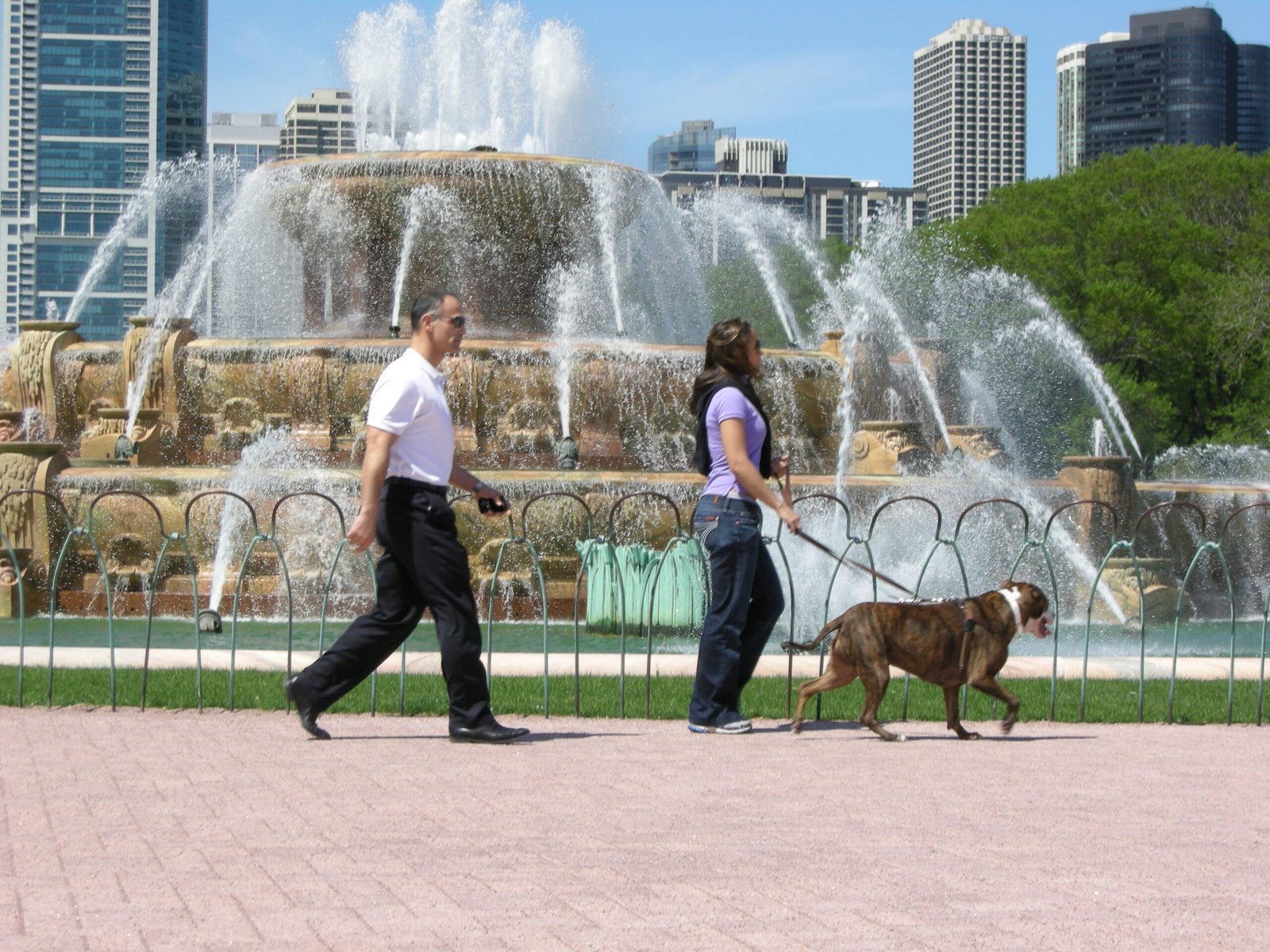 The Daily Walk&mdash;A Secret Weapon for Longevity (image credits: wikimedia)