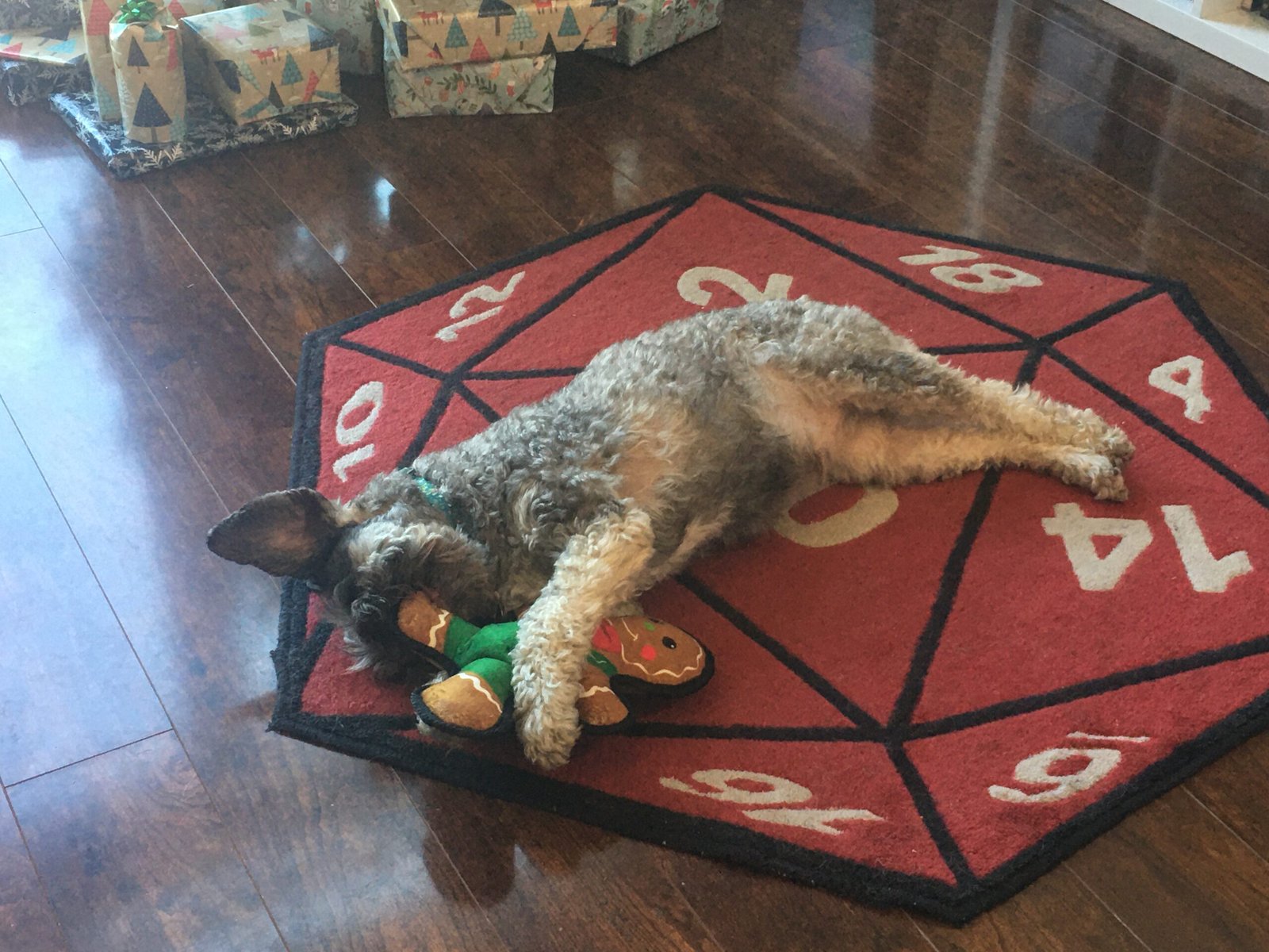 Giving Them a Favorite Toy (image credits: wikimedia)