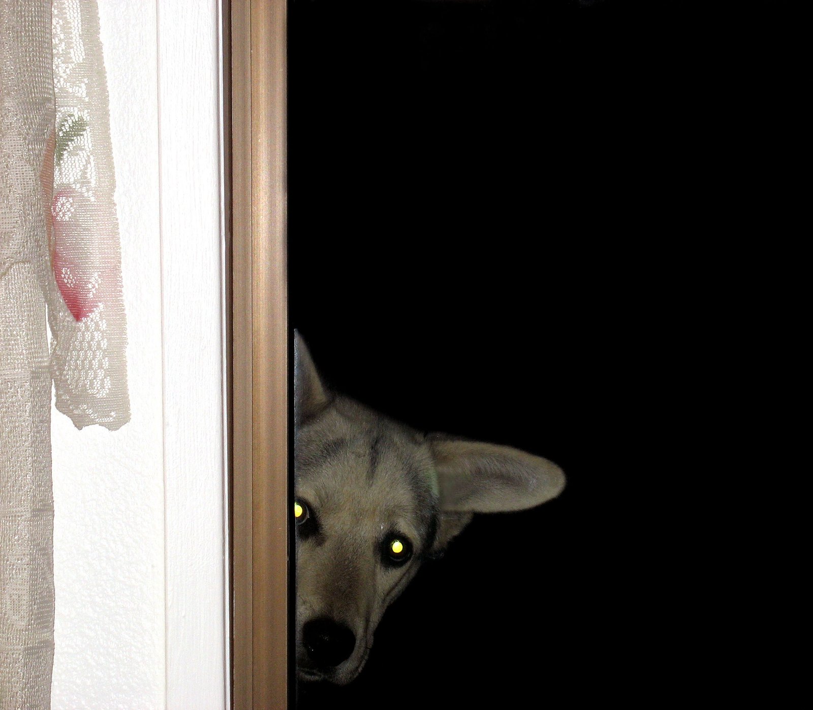 Withdrawal and Hiding: Silent Cries for Help (image credits: wikimedia)