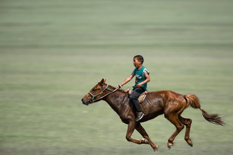 Where Two Spirits Meet: The Sacred Connection Between Horse and Human
