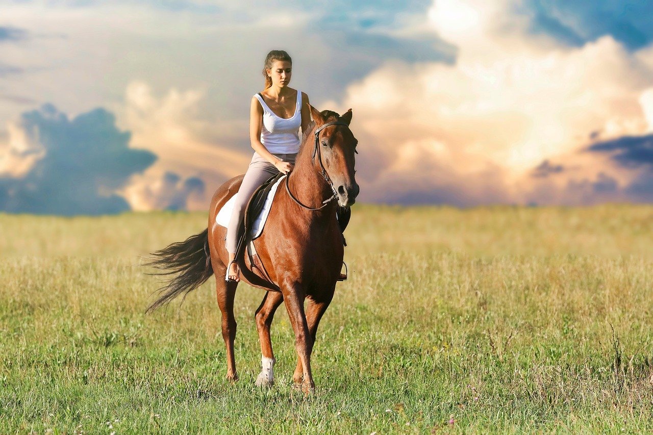 Therapeutic Power and Healing (image credits: pixabay)