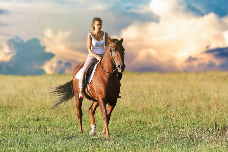 The Magic Behind the Human-Horse Bond: 10 Reasons It’s Truly One of a Kind