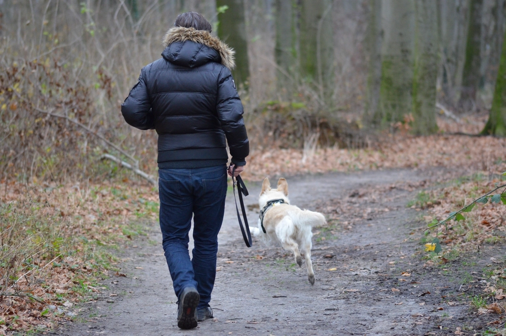 Encourage Exercise and Reduce Stress (image credits: rawpixel)