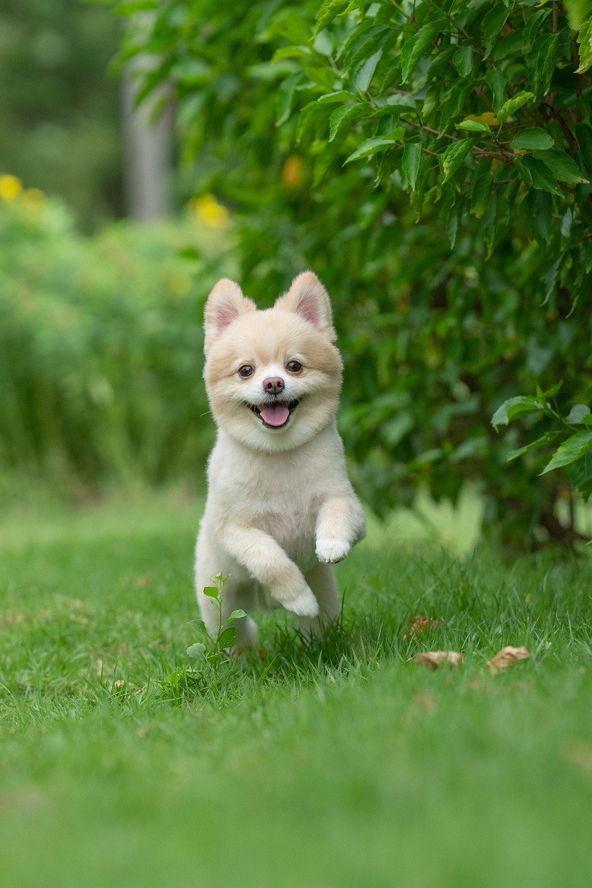 Exercise and Activity: Surprising Energy Bursts (image credits: pixabay)
