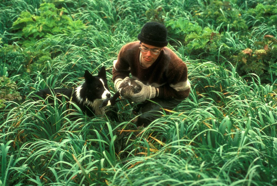 10 Ways Your Border Collie Fits Your Active Lifestyle (And 5 Habits That Frustrate Them)