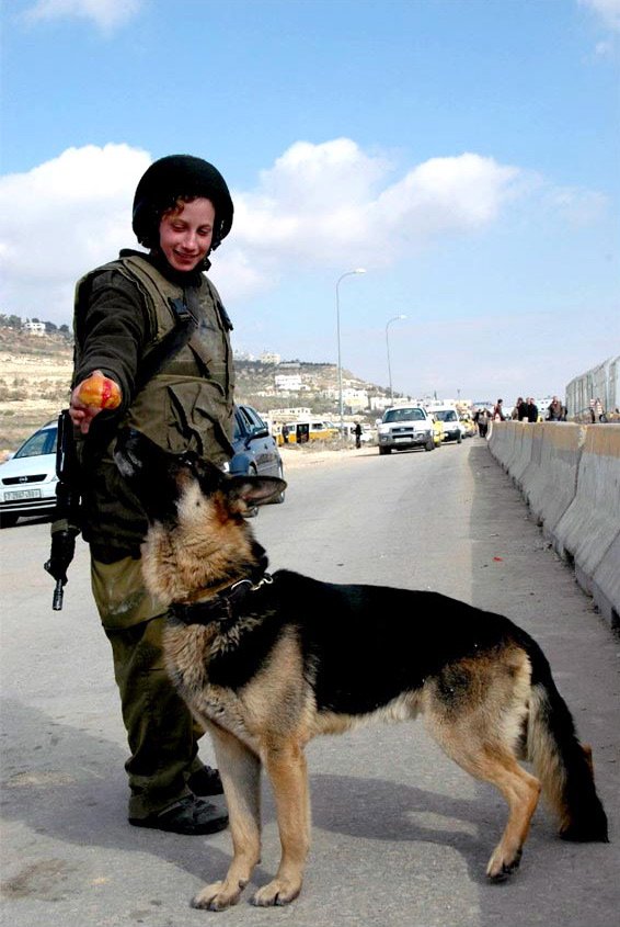 Puppy Training Treats (image credits: wikimedia)