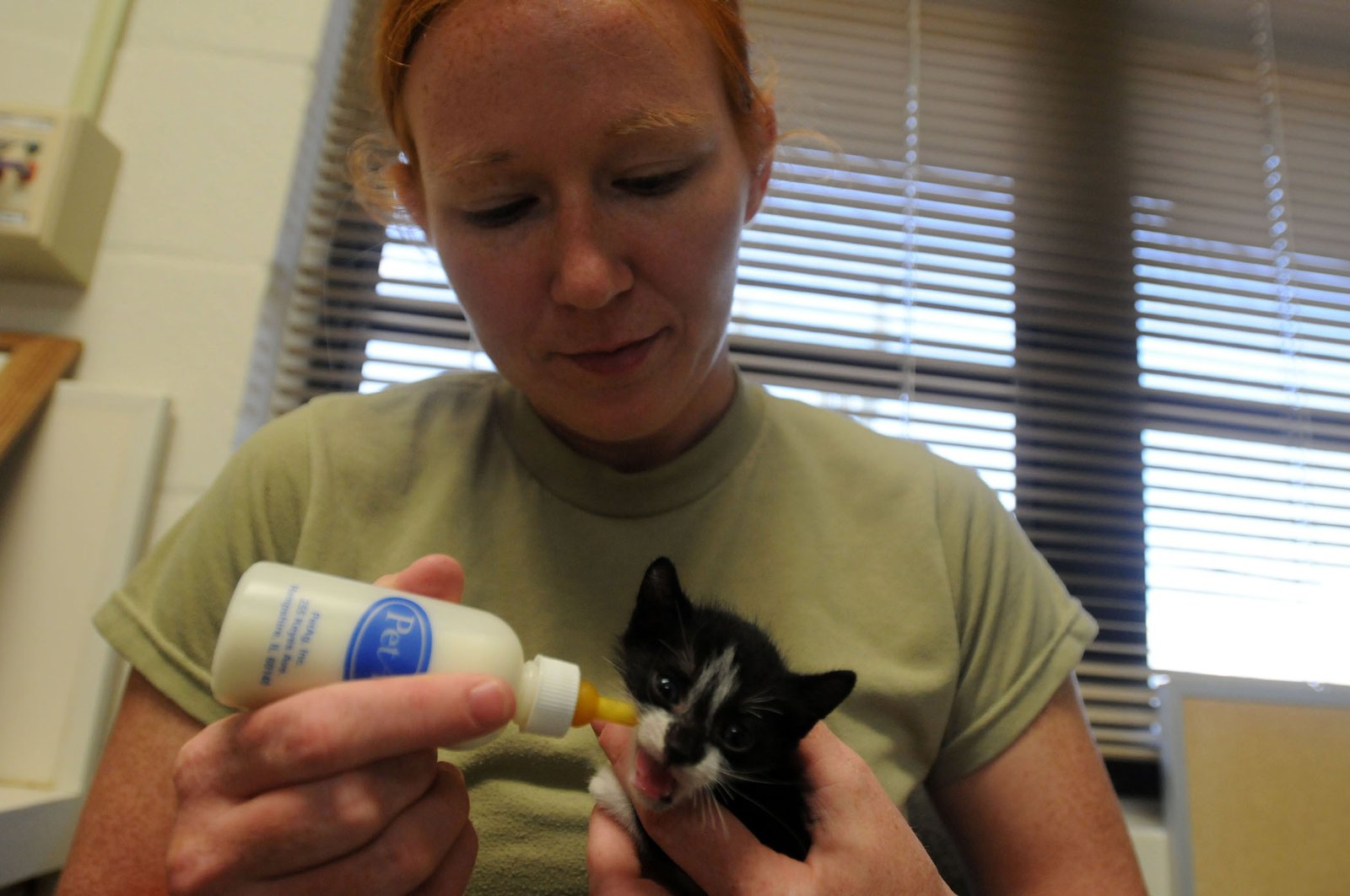 Visit the Vet for a Health Check (image credits: wikimedia)
