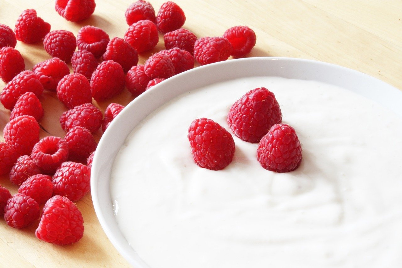 Plain Yogurt: Tangy and Tummy-Friendly (image credits: pixabay)