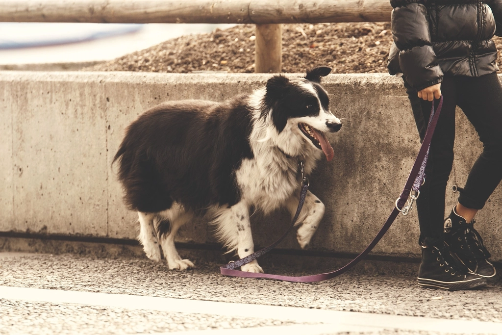 Make Time for One-on-One Bonding (image credits: rawpixel)