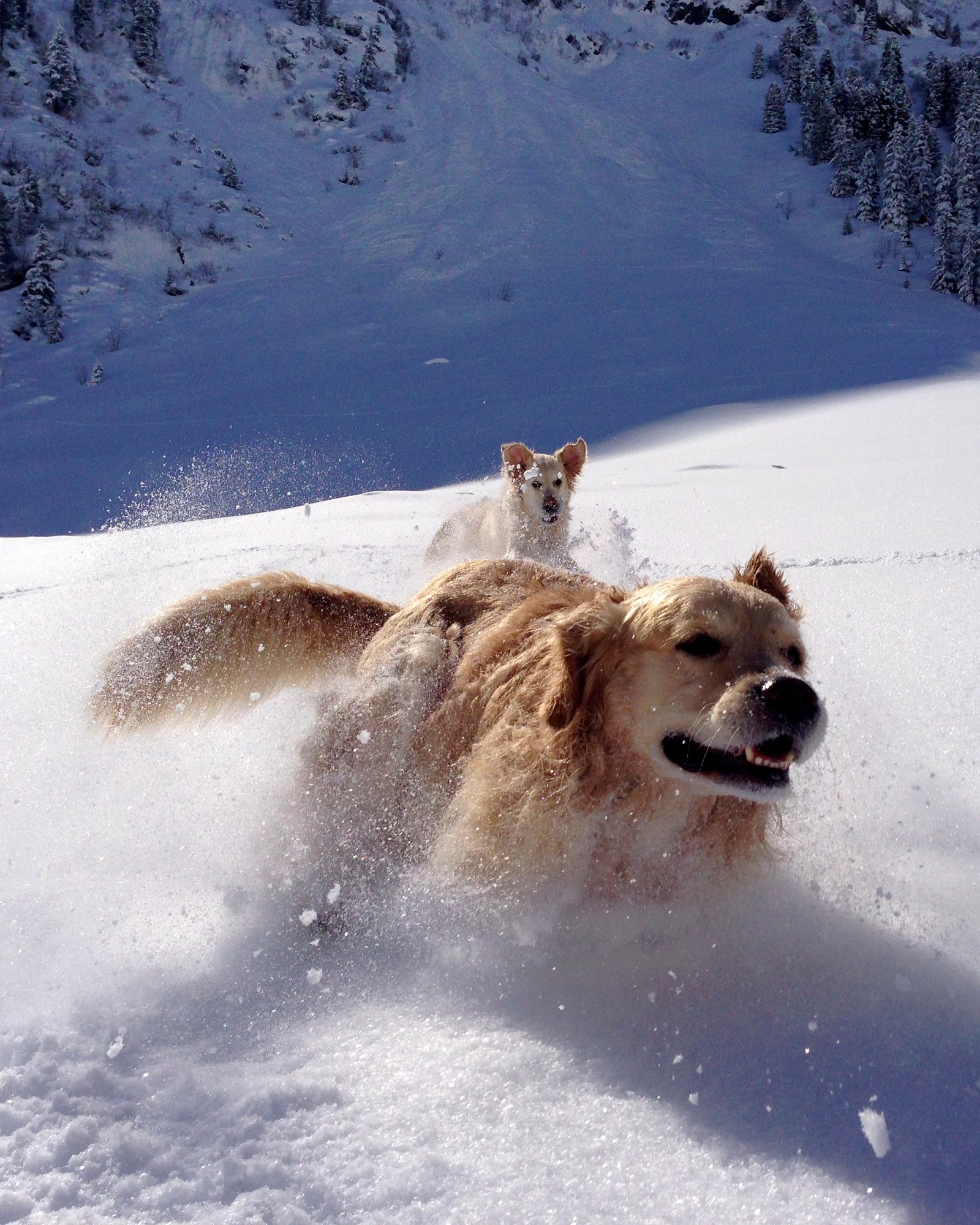 Keeping Exercise Fun When It’s Freezing (image credits: wikimedia)