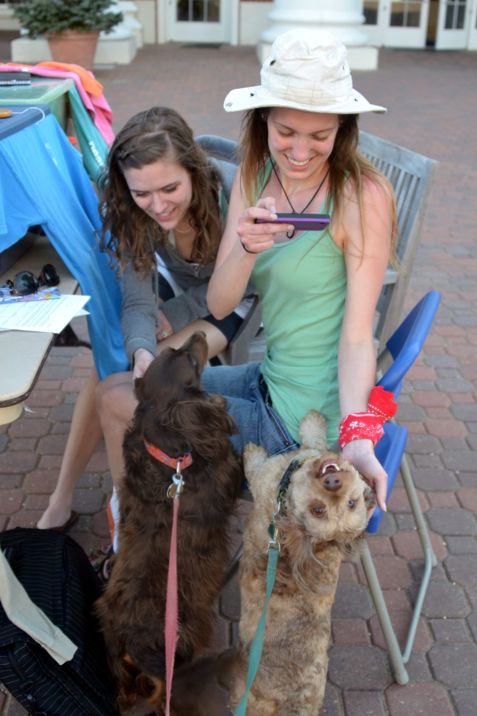 Family Inclusion: Feeling Like Part of the Pack (image credits: wikimedia)