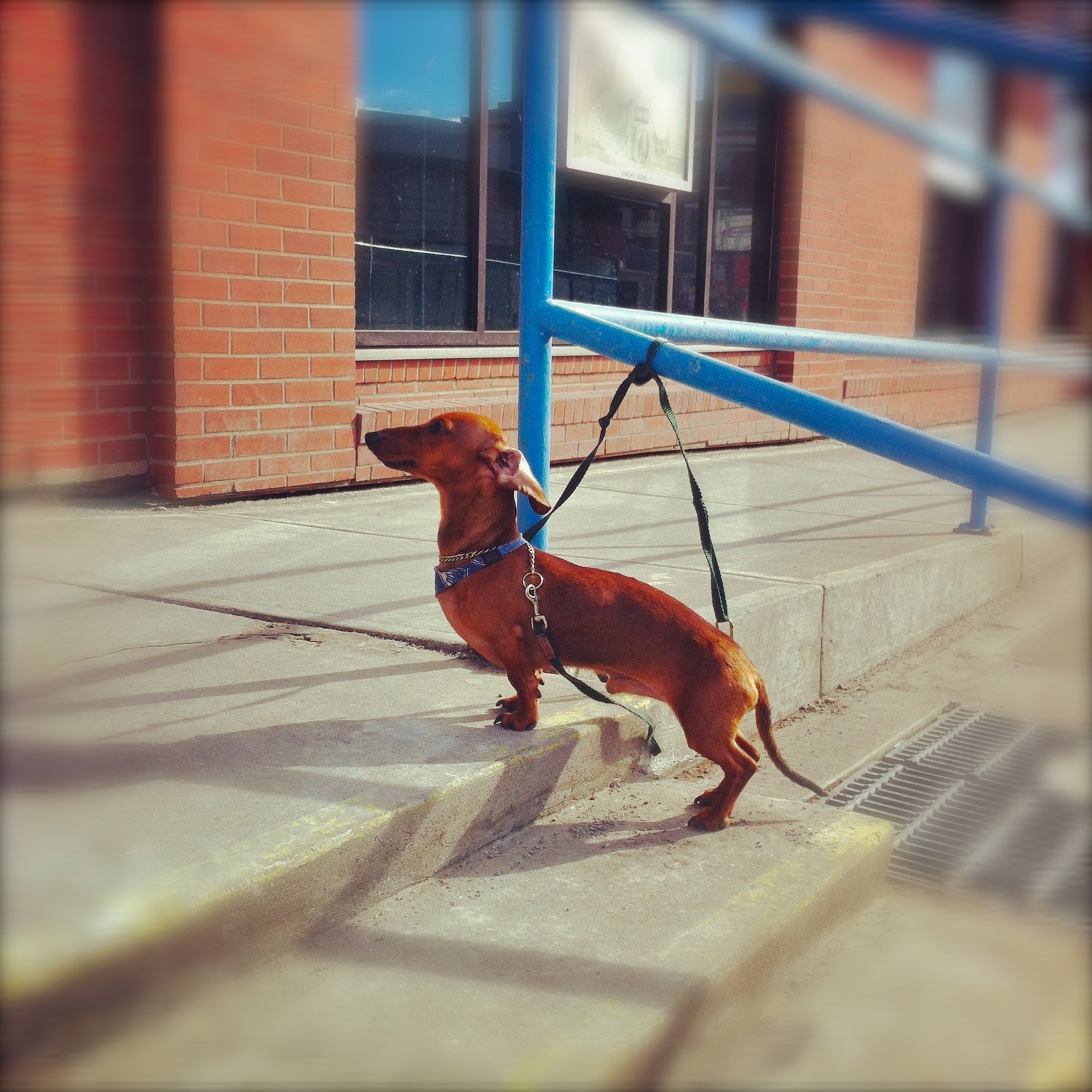 Skipping Walks: A Recipe for Restlessness (image credits: wikimedia)