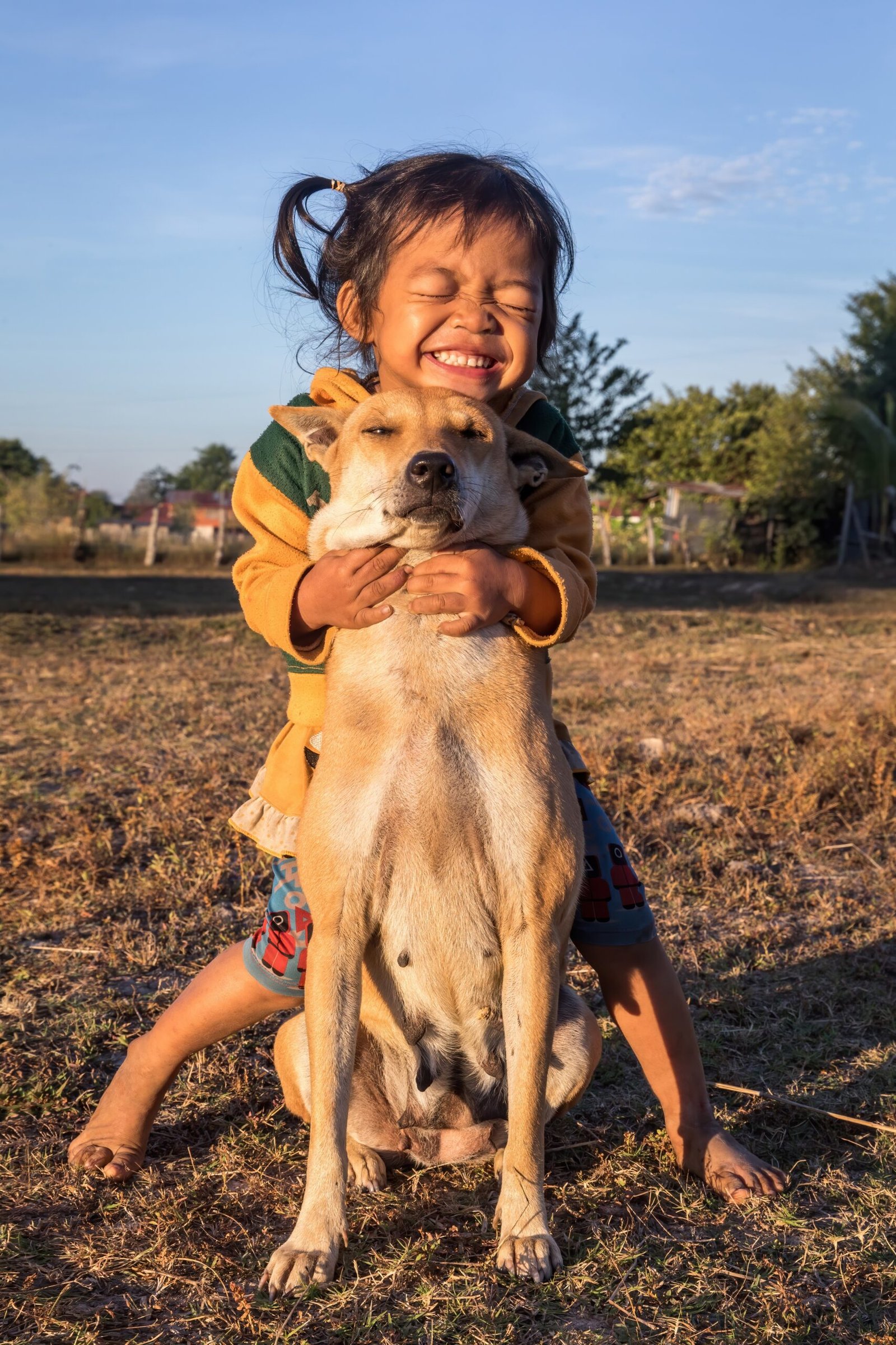 Why Shy Dogs May Struggle with Outgoing Breeds (image credits: wikimedia)