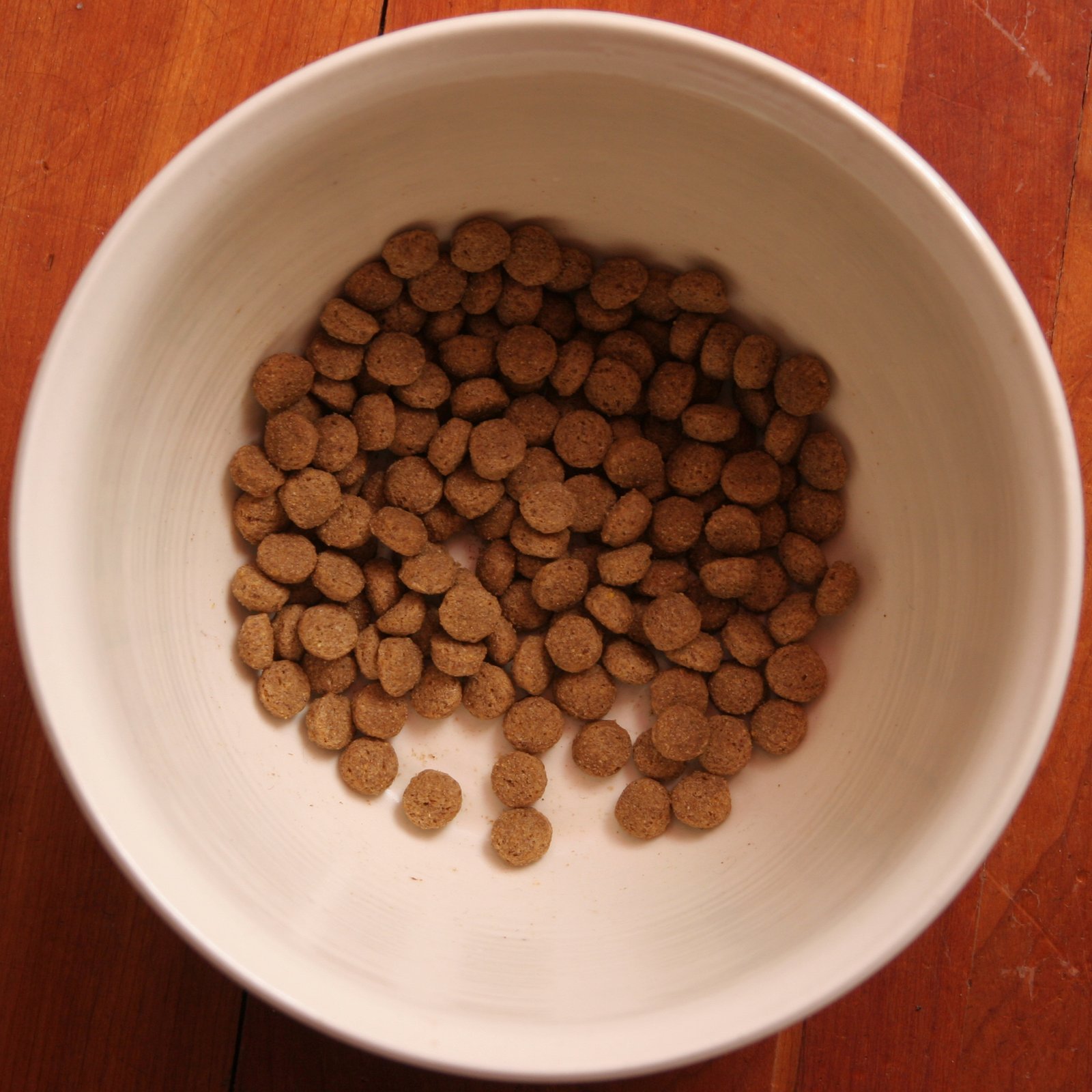 Feed a Balanced Diet Tailored to Wisconsin Weather (image credits: wikimedia)