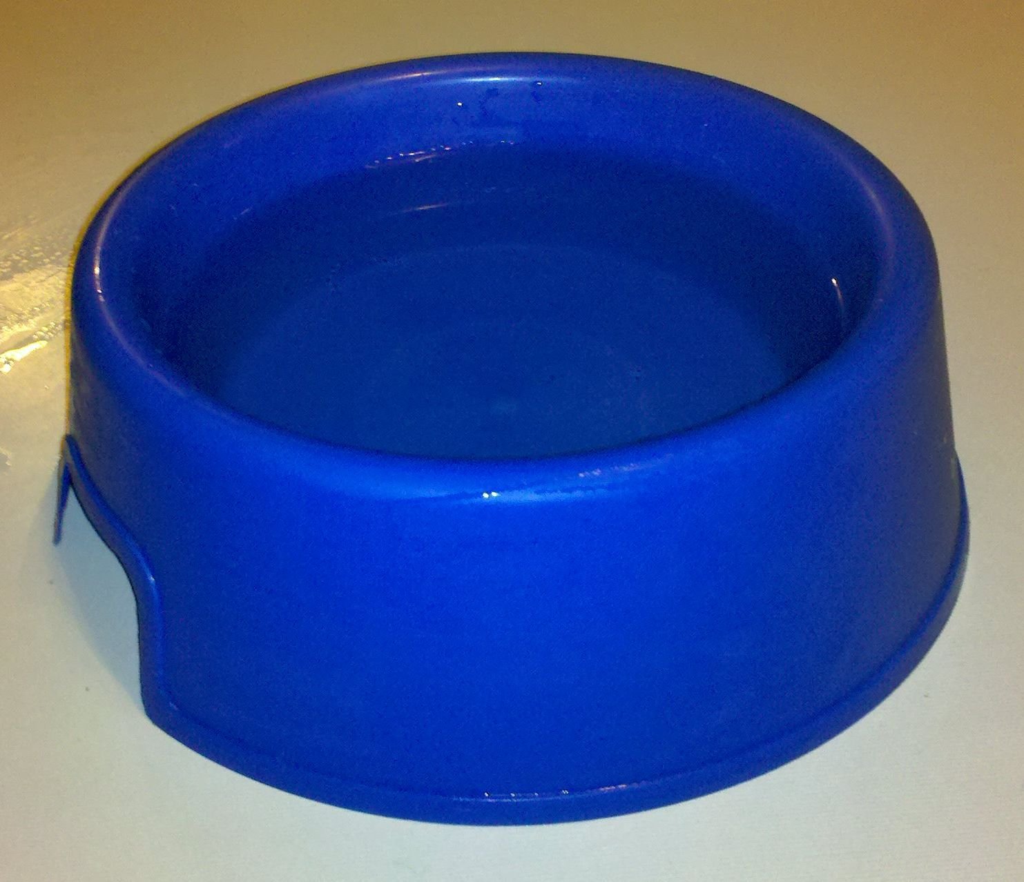 Hydration is Happiness—Keep Water Bowls Fresh and Full (image credits: wikimedia)