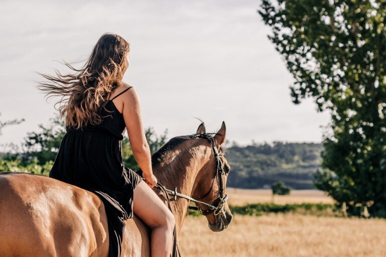What Makes the Bond Between Horses and Humans So Deep and Unique
