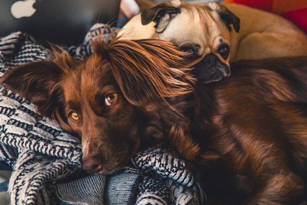 Can Friendship Develop Over Time? (image credits: rawpixel)