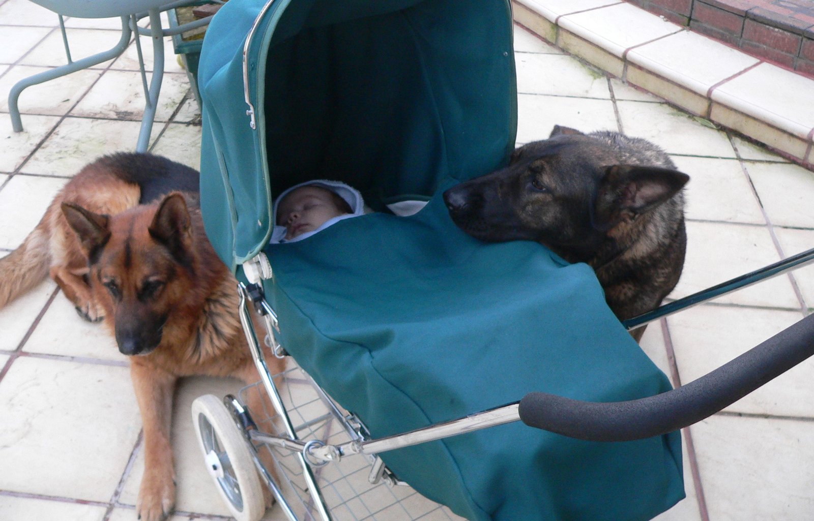 They’re Not Good With Kids (image credits: wikimedia)