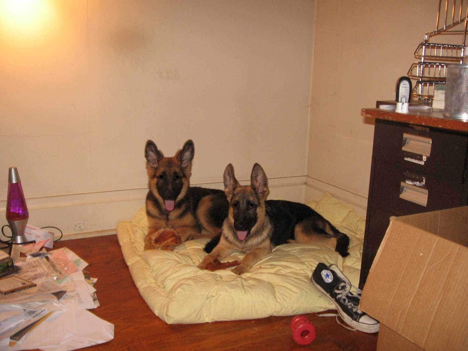 They Need To Be “Working” All The Time (image credits: wikimedia)